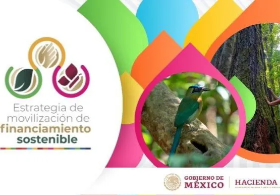 Foto 2 Estrategia de Movilización de Financiamiento Sostenible México