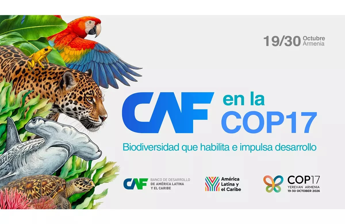 CAF en la COP17