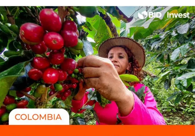 Bono social BID Invest y Banco W de Colombia