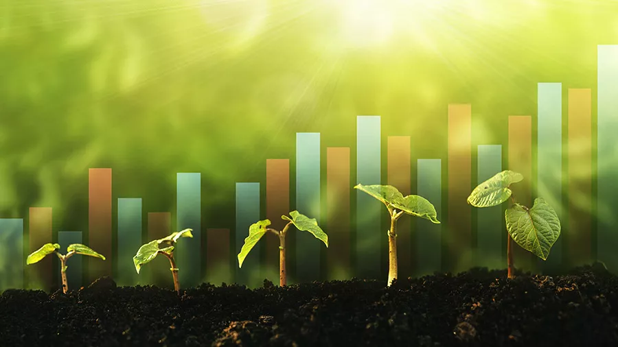 financiamiento sostenible