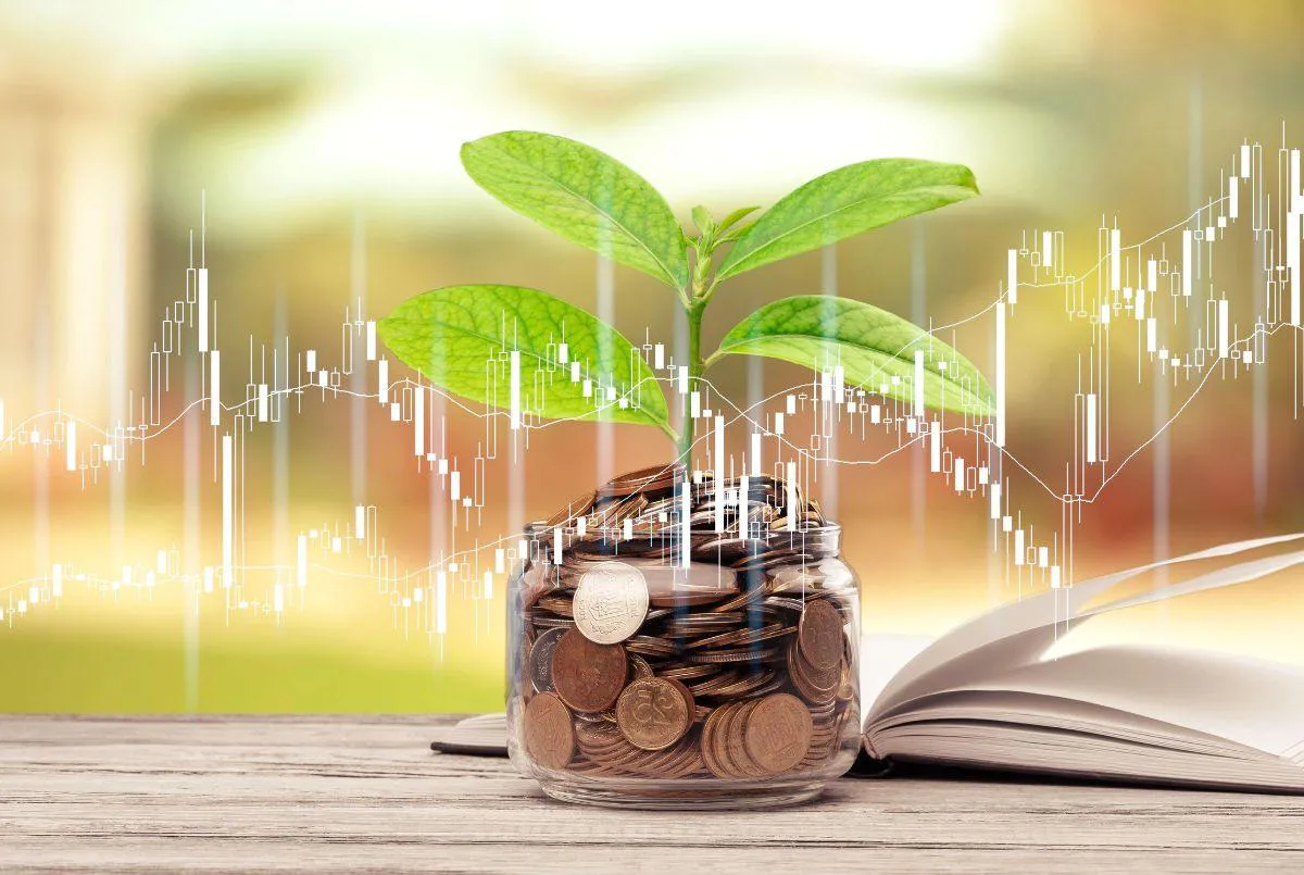 bonos sostenibles brasil