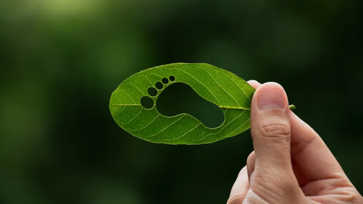 Huella de Carbono implicaciones y beneficios