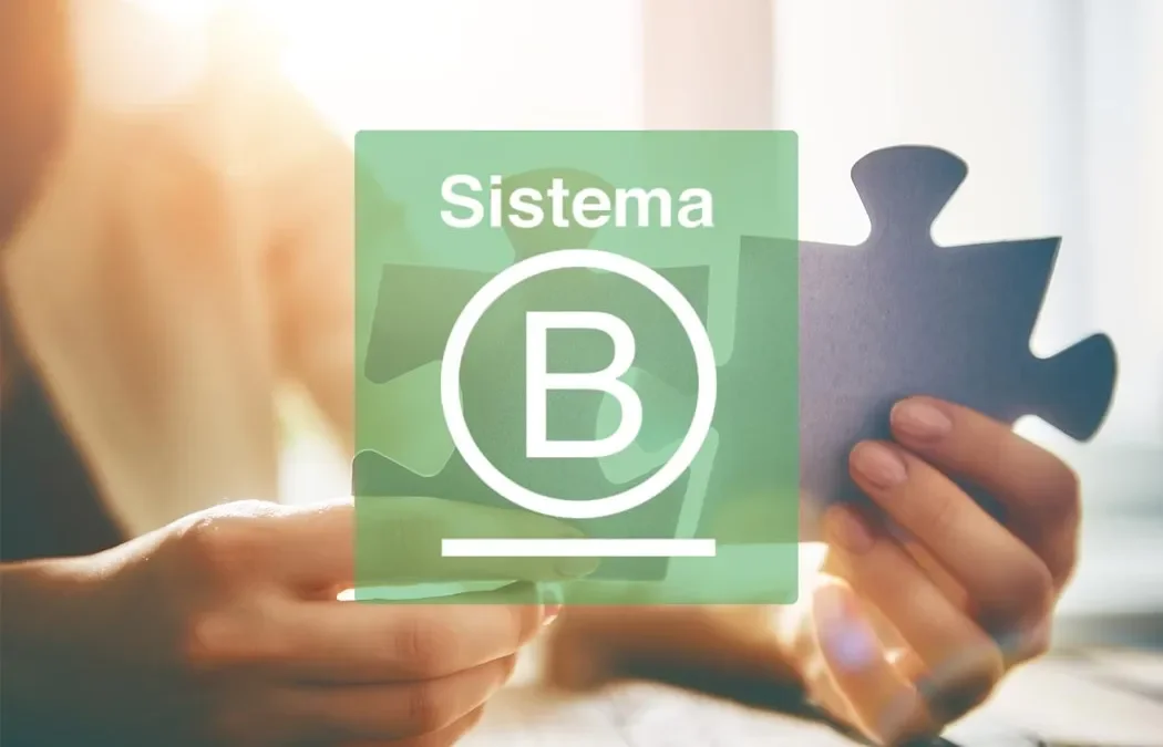 Empresas B 1