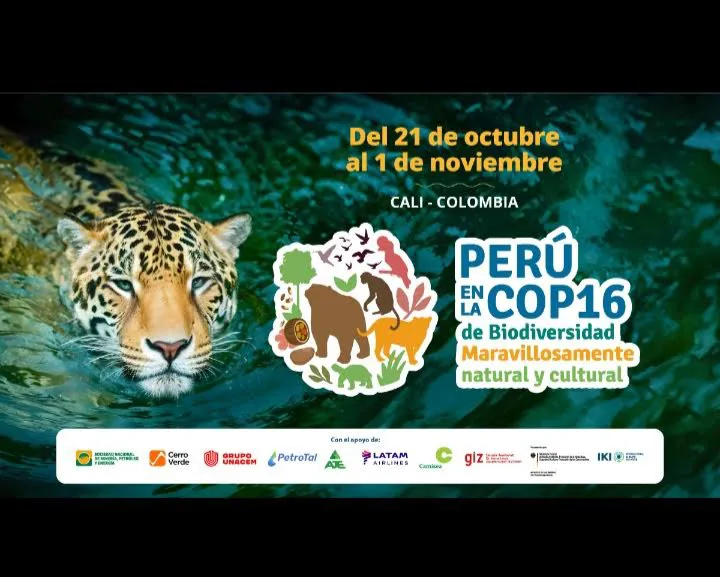 Participación de Perú en la COP16 Colombia
