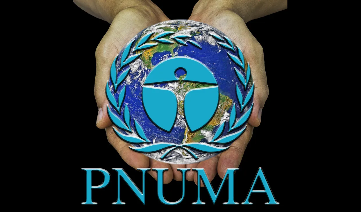 PNUMA 2