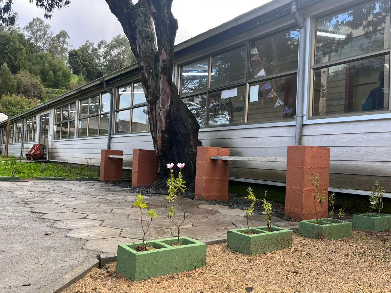 Banco de Chile espacio eco inclusivo reciclaje tarjetas