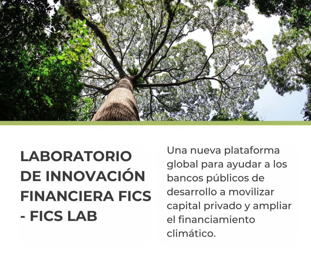 FiCS Lab plataforma global