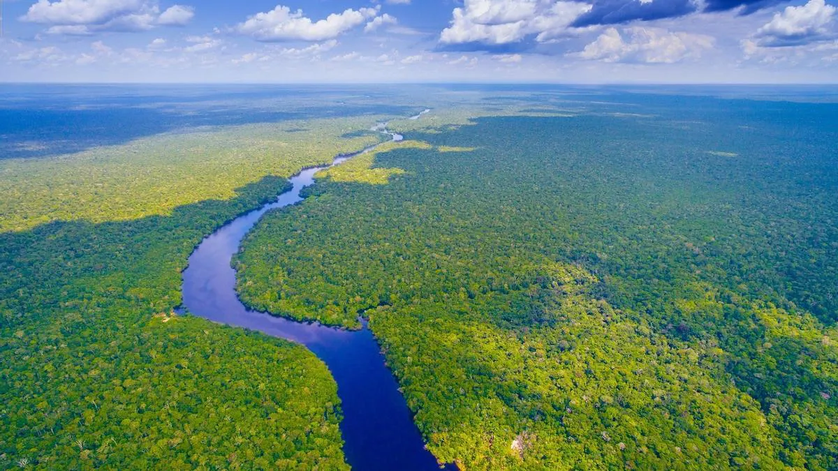 Amazonia Brasil
