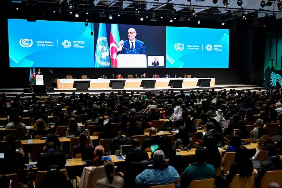 COP29- reglas mercado internacional de carbono