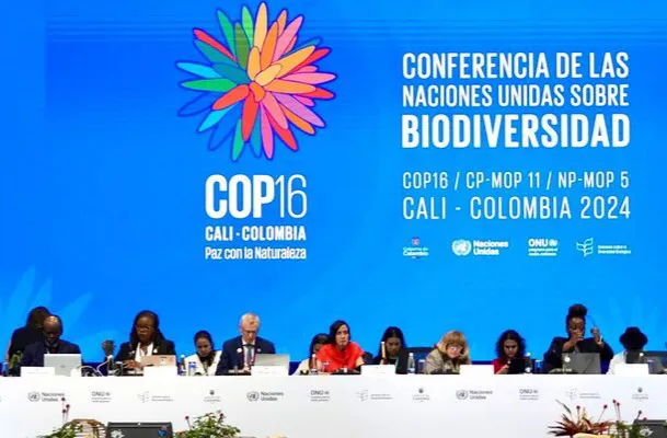 COP16 Colombia cierra sin acuerdo sobre financiación para la naturaleza